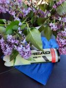 IMG-20230507-WA0004