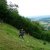 2011_maehen_0114